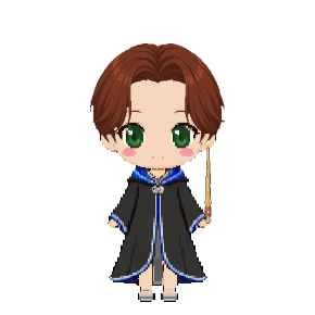 Avatar: Wix · Ravenclaw Robes, Curtains, Oak Wand