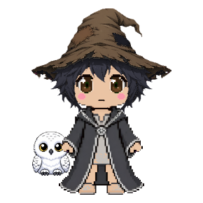 Avatar: Snowy Owl, Wizard · Charcoal Robes, Hat & Hair