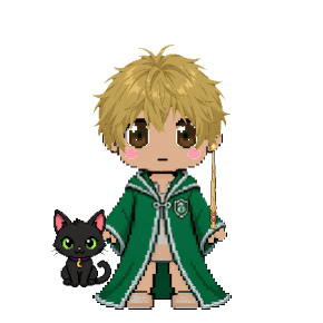 Avatar: Wizard · Emerald Robes, Messy, Black Cat, Oak Wand
