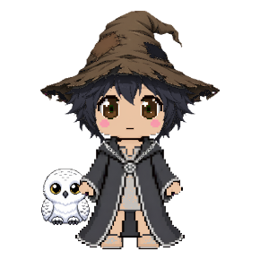 Avatar: Snowy Owl, Wizard · Charcoal Robes, Hat & Hair