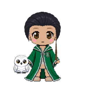 Avatar: Wizard · Emerald Robes, Slicked Back, Snowy Owl, Ebony Wand