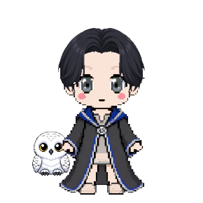 Avatar: Snowy Owl, Wizard · Ravenclaw Robes, Curtains