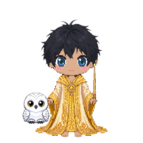 Avatar: Wix · Gilded Robes, Messy, Snowy Owl, Oak Wand