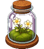 Meadow-Jar Terrarium, furniture for your dorm