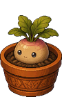 Potted Mandrake, furniture for your dorm