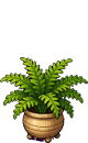 Potted Fern, furniture for a clubhouse