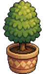 Topiary Shrub, furniture for a clubhouse